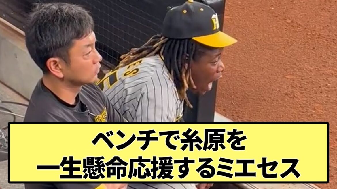 【人気者】ベンチで糸原を一生懸命応援するミエセス【なんJ反応】 【人気者】ベンチで糸原を一生懸命応援するミエセス【なんJ反応】