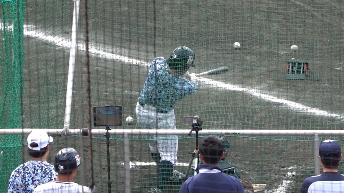 増田珠のバッティング練習！思い切りのいいスイングから放たれる軌道は村上並！？東京ヤクルトスワローズ 浦添キャンプ 2024/02/03