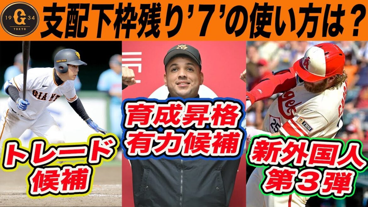 【巨人】現在６３名！残りの支配枠はどうなる？！新外国人・トレード・育成からの昇格可能性を考察　読売ジャイアンツ