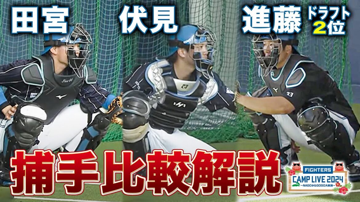 【谷繁解説】伏見寅威/進藤勇也/田宮裕涼 捕手陣の構えについて谷繁元信が解説＜2/3ファイターズ春季キャンプ2024＞
