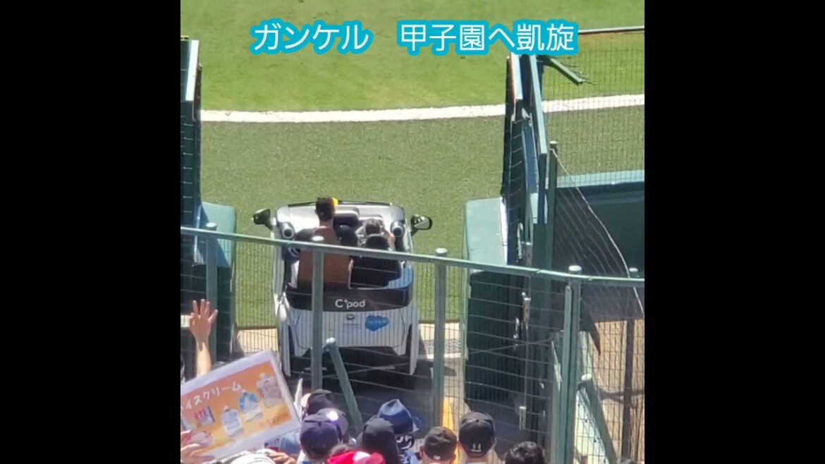 20230617　#ガンケル 甲子園へ凱旋　ウグイス嬢のアナウンス　#shorts　ｼﾞｮｰ･ｶﾞﾝｹﾙ　福岡ｿﾌﾄﾊﾞﾝｸﾎｰｸｽ　阪神ﾀｲｶﾞｰｽ@阪神甲子園球場