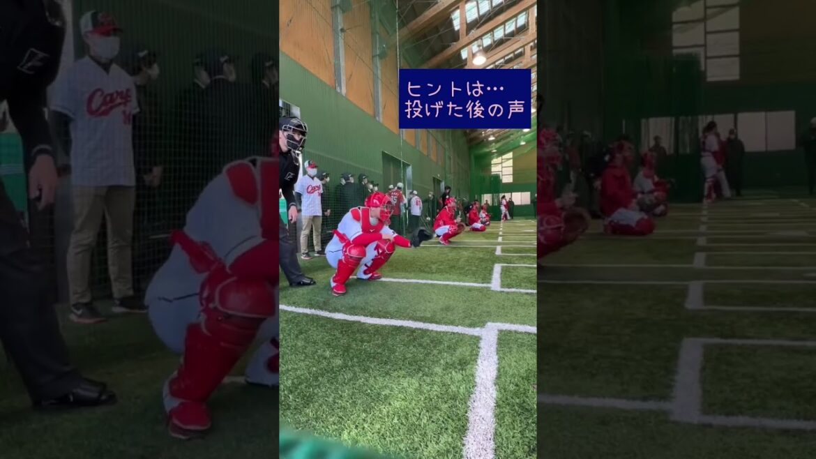 カープ坂倉将吾のキャッチング〜投げているのは誰？　#カープ #坂倉将吾 #プロ野球 #キャンプ