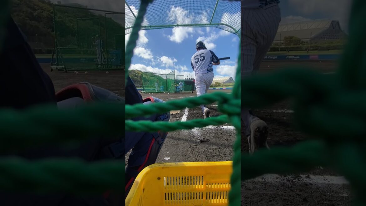 村上宗隆選手のバッティング練習に接近！ 2024浦添春季キャンプ #shorts  #swallows #プロ野球 #村上宗隆