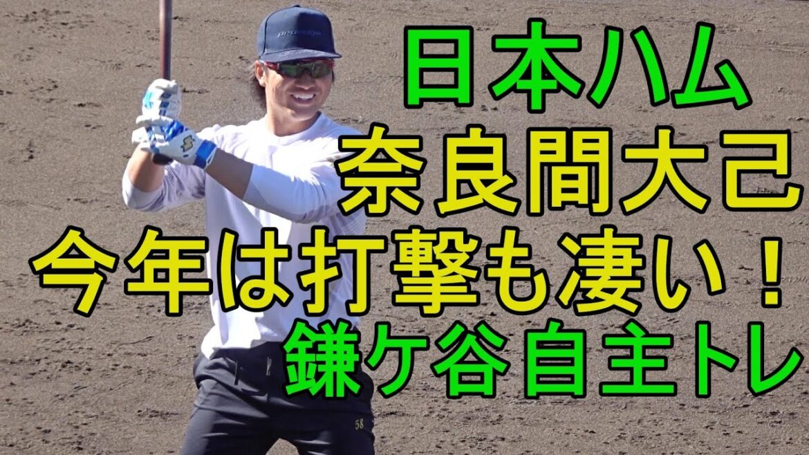 日本ハム奈良間大己 今年は打撃も凄い!鎌ケ谷自主トレ2024.1.27 日本ハム奈良間大己 今年は打撃も凄い!鎌ケ谷自主トレ2024.1.27