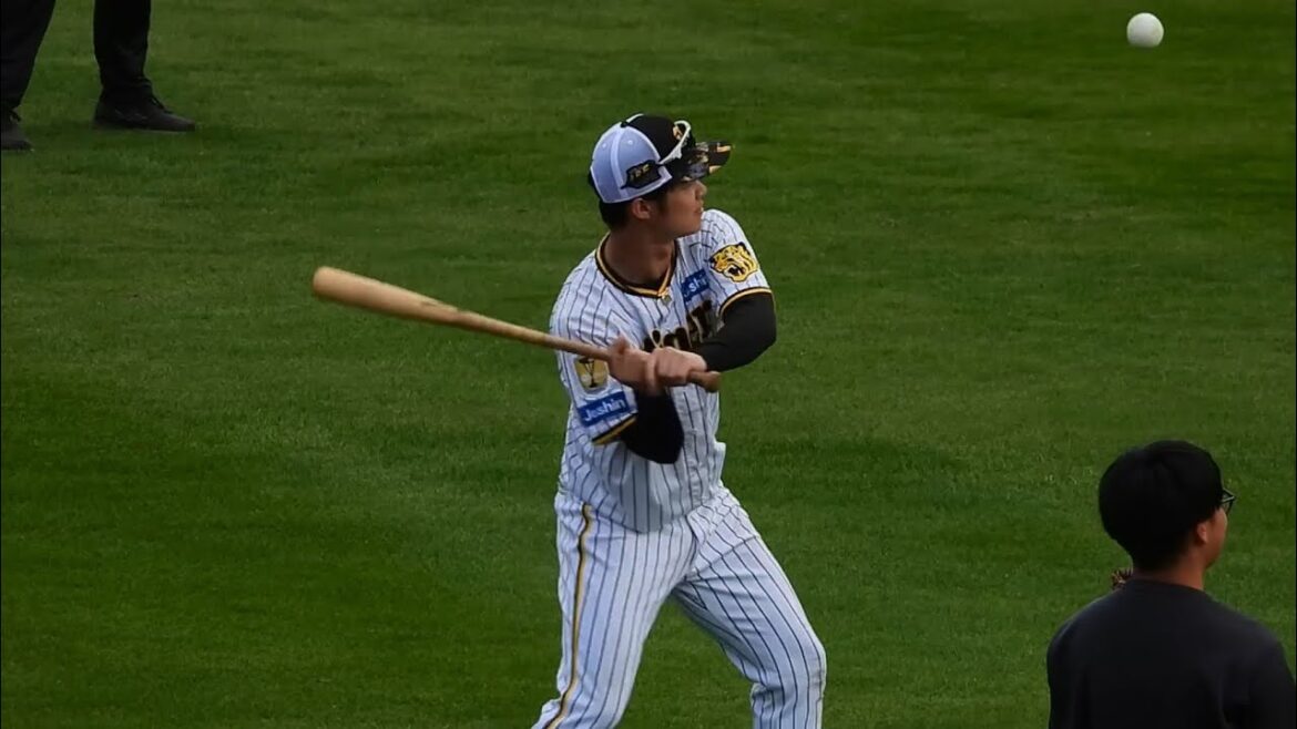 【右打ちノッカー】中野拓夢、正確すぎるノックで野球少年達の定位置に次々と打球を飛ばす【阪神春季キャンプ】2024.2.4