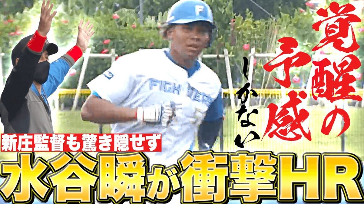 【現役ドラフト】水谷瞬『新庄監督も驚苦しかない衝撃の一発!!』【覚醒の予感】