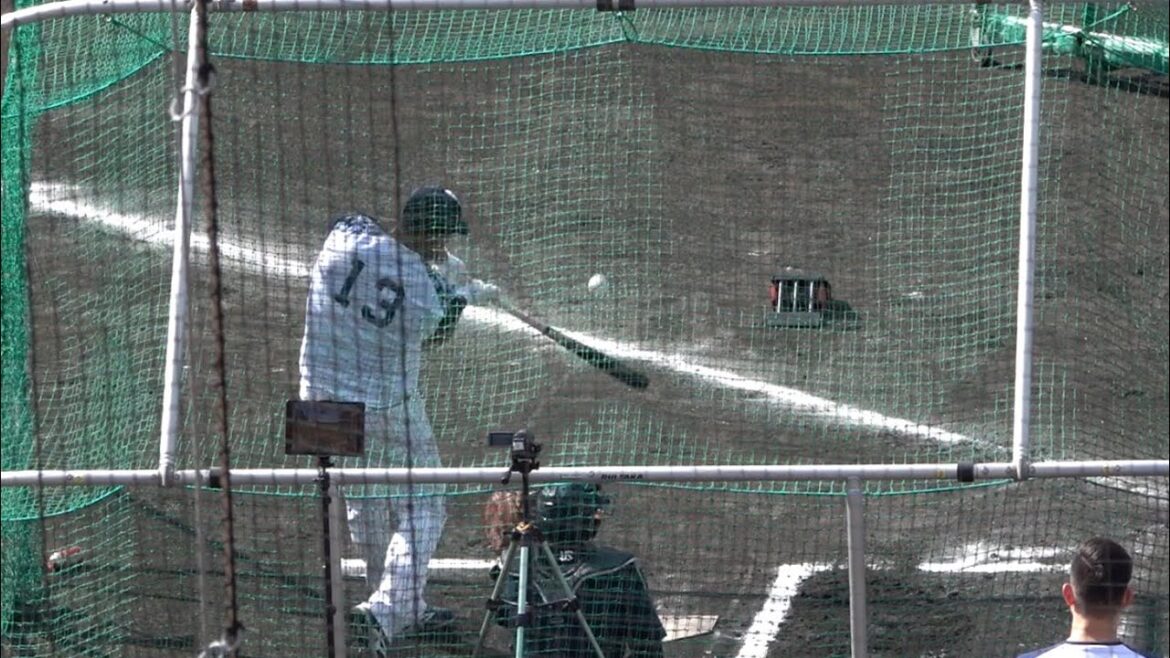 オスナのバッティング練習！ホームラン 東京ヤクルトスワローズ 浦添キャンプ 特打 2024/02/03