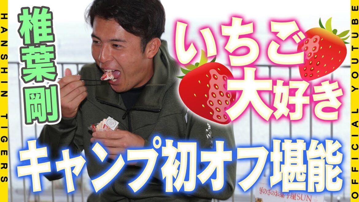 【初オフ】ドラフト2位ルーキー#椎葉剛 投手 のキャンプ初オフに密着！宜野座名産の大好きな『いちご』に満面の笑み止まらず！「チョークアート」体験でもさすがの才能を発揮しました！
