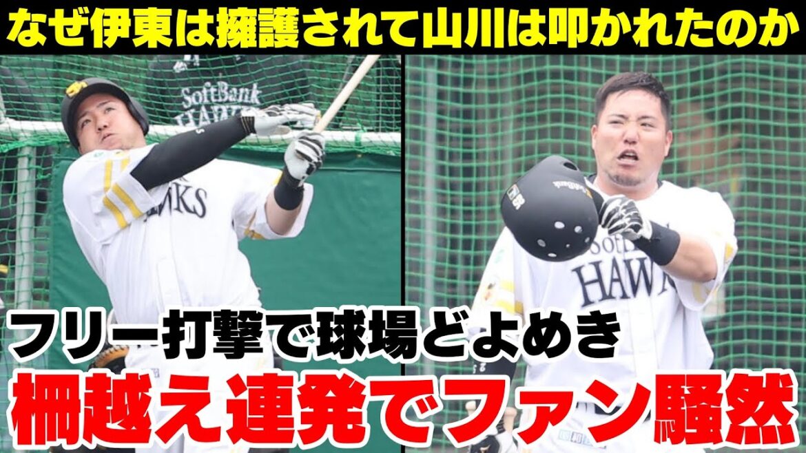 山川穂高さん、連日柵越え連発でファン騒然・なぜ伊東純也は擁護されて山川穂高は叩かれたのか？