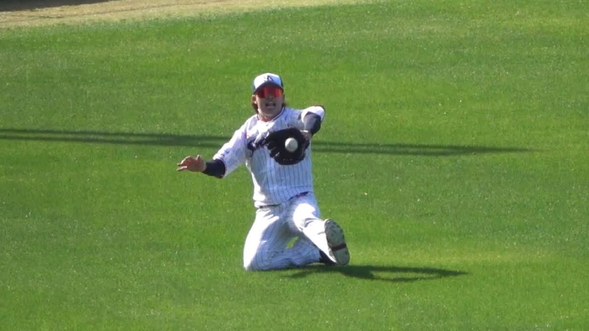 濱田太貴 守備・バッティング今日のハイライト！東京ヤクルトスワローズ 浦添キャンプ 2024/02/03