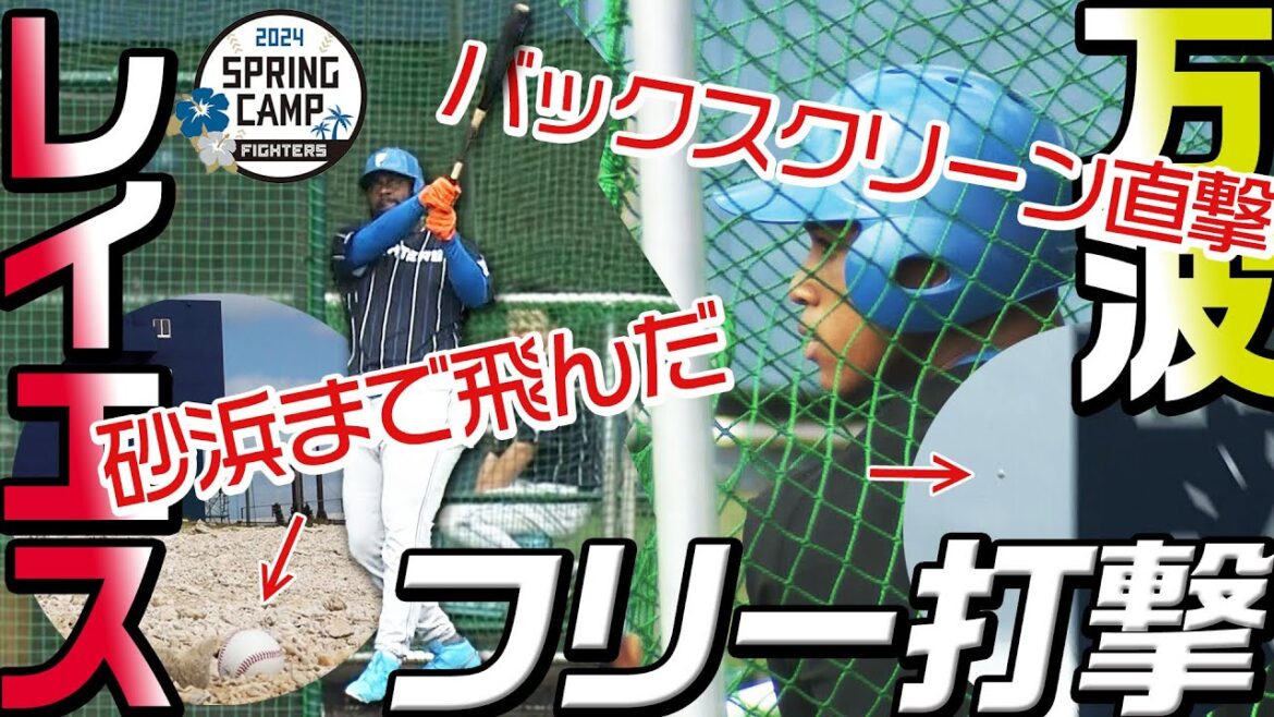 【春季キャンプ2024】2月6日万波選手＆レイエス選手　豪快フリー打撃！