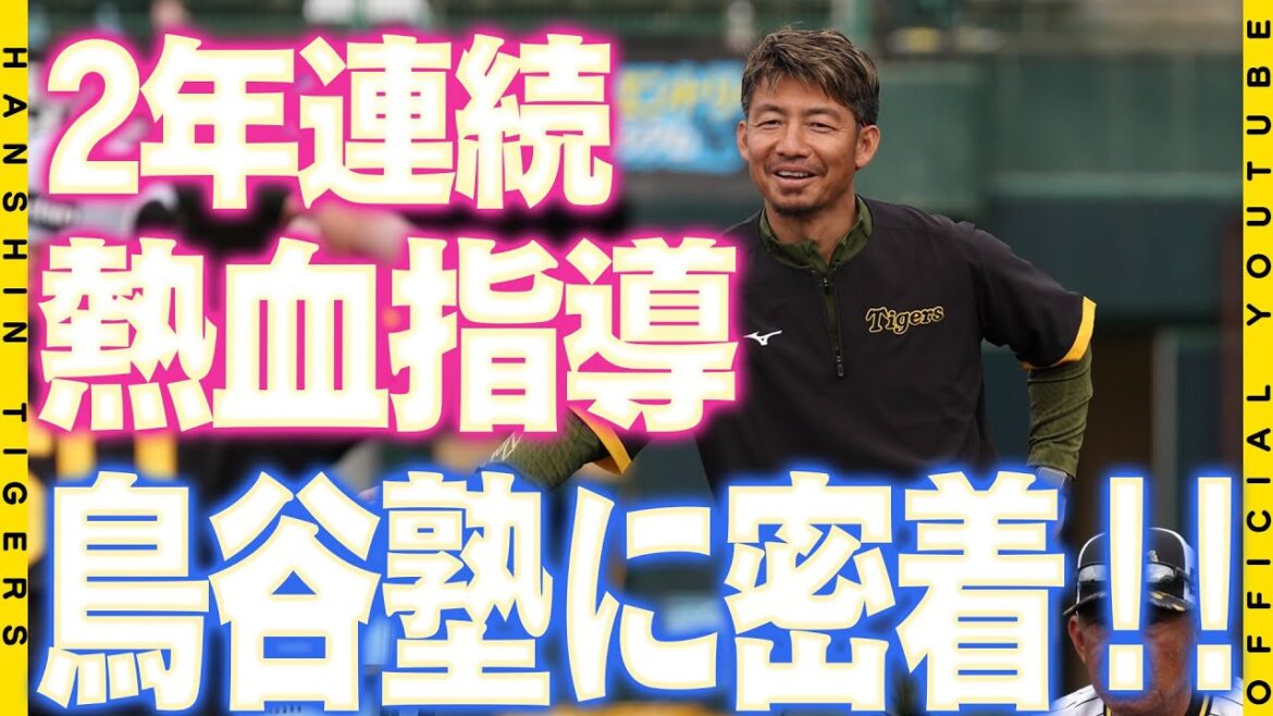 【熱血指導】2年連続開校！#鳥谷敬 臨時コーチによる『鳥谷塾』！全体練習後の特守では#木浪聖也 選手 #中野拓夢 選手 #佐藤輝明 選手が徹底的に鍛えられました！