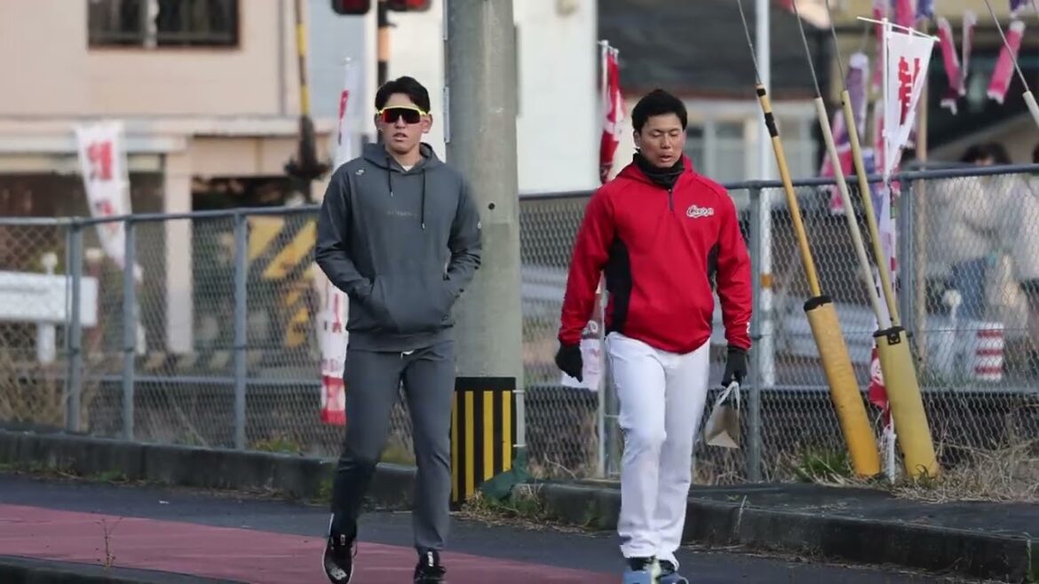 カープ 日南キャンプ恒例⁉️ 徒歩で球場入り 石原貴規　森浦大輔　坂倉将吾　栗林良吏　遠藤淳志　大道温貴　　2024.2.1
