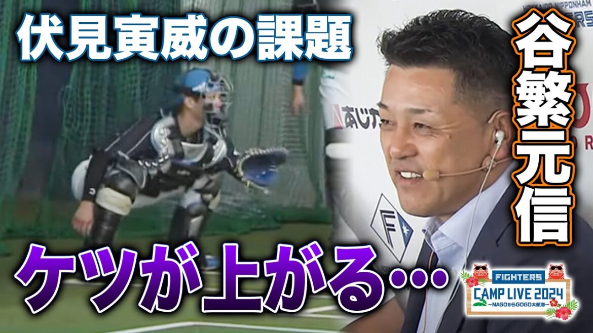 【谷繁解説】伏見寅威/田宮裕涼の課題&キャッチャーの右手の位置を考える<2/3ファイターズ春季キャンプ2024> 【谷繁解説】伏見寅威/田宮裕涼の課題&キャッチャーの右手の位置を考える<2/3ファイターズ春季キャンプ2024>