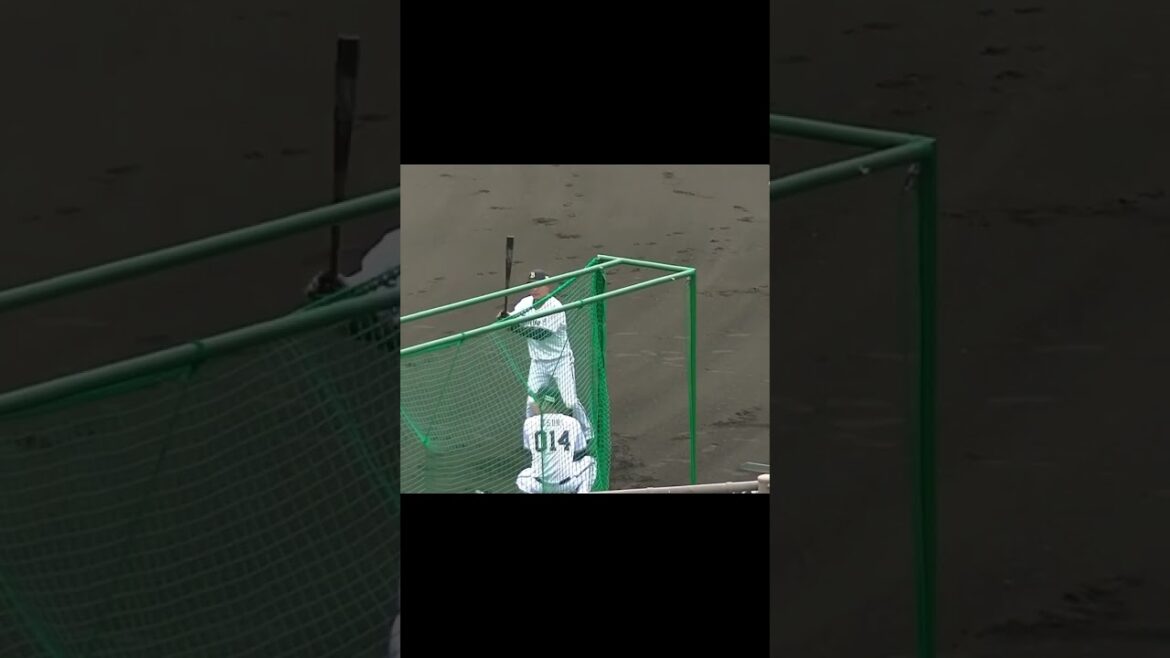 オリックス中川 拓真トライアウト前トスバッティングMTS【プロ野球12球団合同トライアウト2023年11月15日】