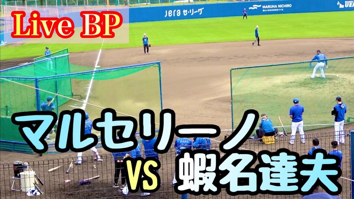【Live BP】マルセリーノ vs 蝦名達夫、東妻純平、西巻賢二、京田陽太 横浜DeNAベイスターズ 2024/2/6