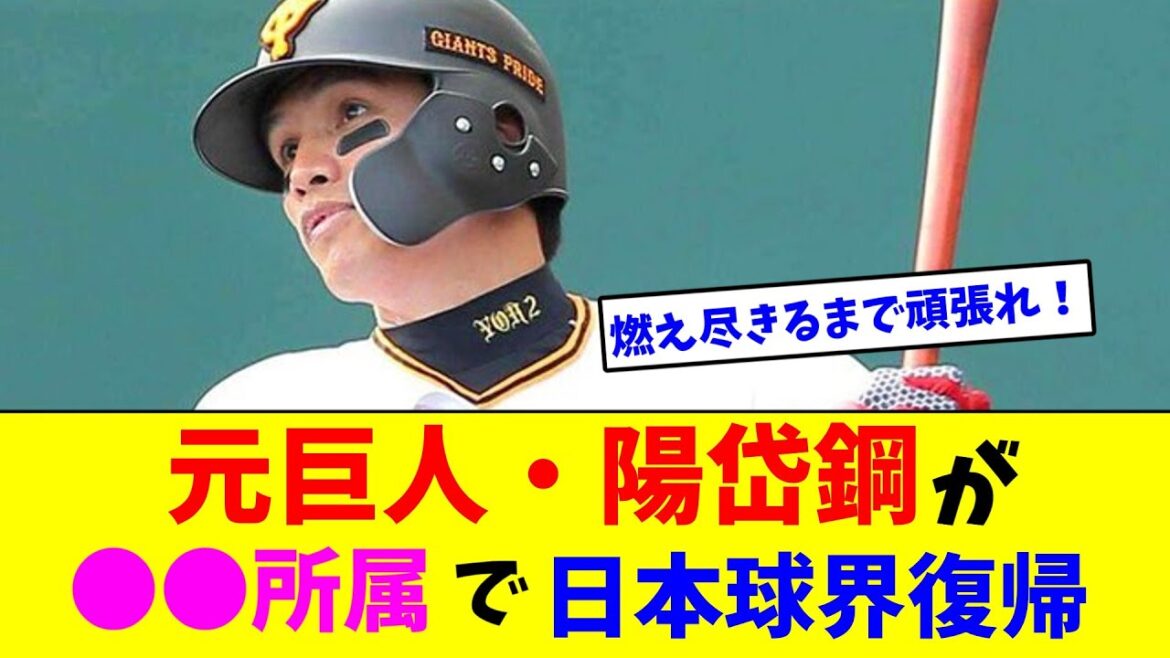 元巨人・陽岱鋼が●●所属で日本球界復帰【なんJ反応】