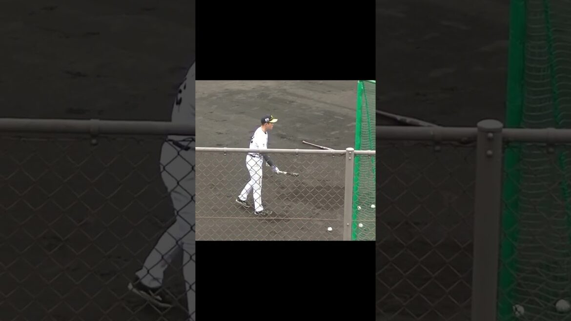 ソフトバンク早 真之介 トライアウト前トスバッティング【プロ野球12球団合同トライアウト2023年11月15日】