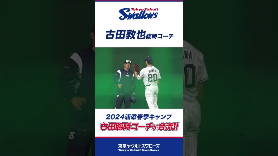 古田敦也臨時コーチが合流！指導を開始！  #swallows #プロ野球 #東京ヤクルトスワローズ #shorts #古田敦也