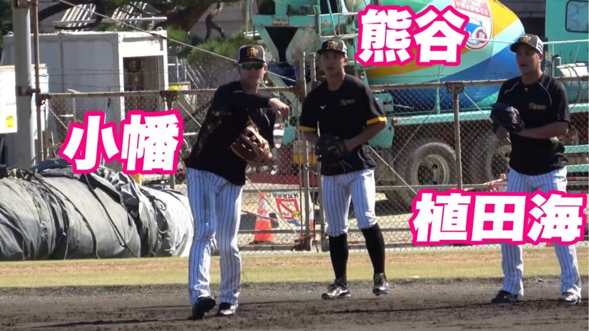 【虎の守備職人達のサブグラウンドでノック！！小幡 熊谷 植田海】