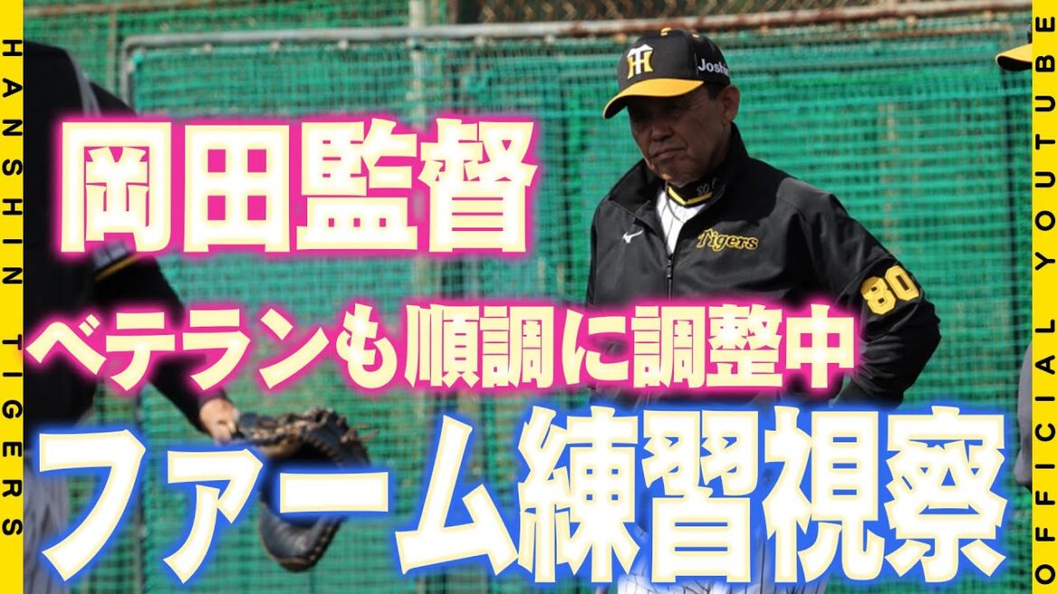 【具志川】#岡田彰布 監督がファームの練習を視察！独自調整を任せているベテラン陣のブルペン投球もチェック！！具志川球場はいつもと少し違う緊張感が漂いました。