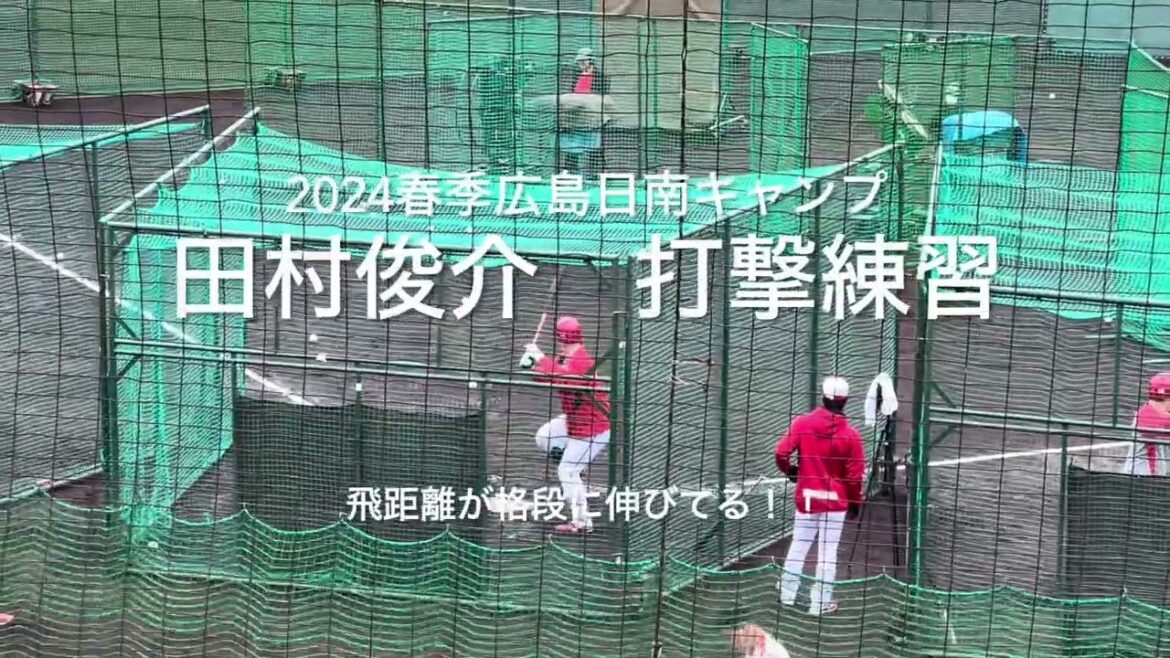 期待大田村俊介のバッティングローテ！明らかに昨年より飛距離と力強さが増してます！！注意：音声なしです【2024.2.3春季日南キャンプ3日目】#広島カープ#2024春季日南キャンプ#天福球場#田村俊介