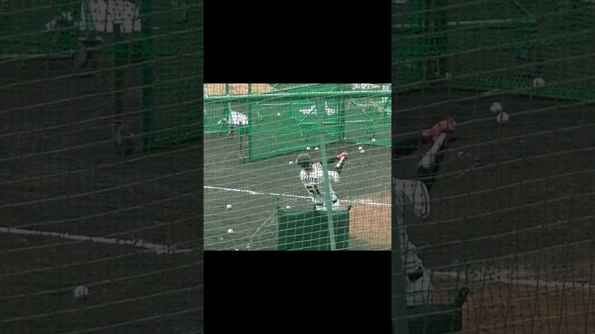 八百板卓丸のフリーバッティング ～ジャイアンツ 沖縄キャンプ2022/2/16