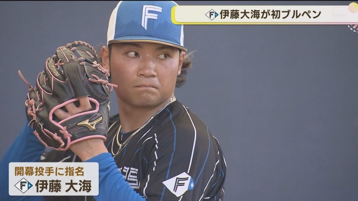 【ファイターズ】開幕投手！伊藤大海キャンプ初のブルペン入り！！