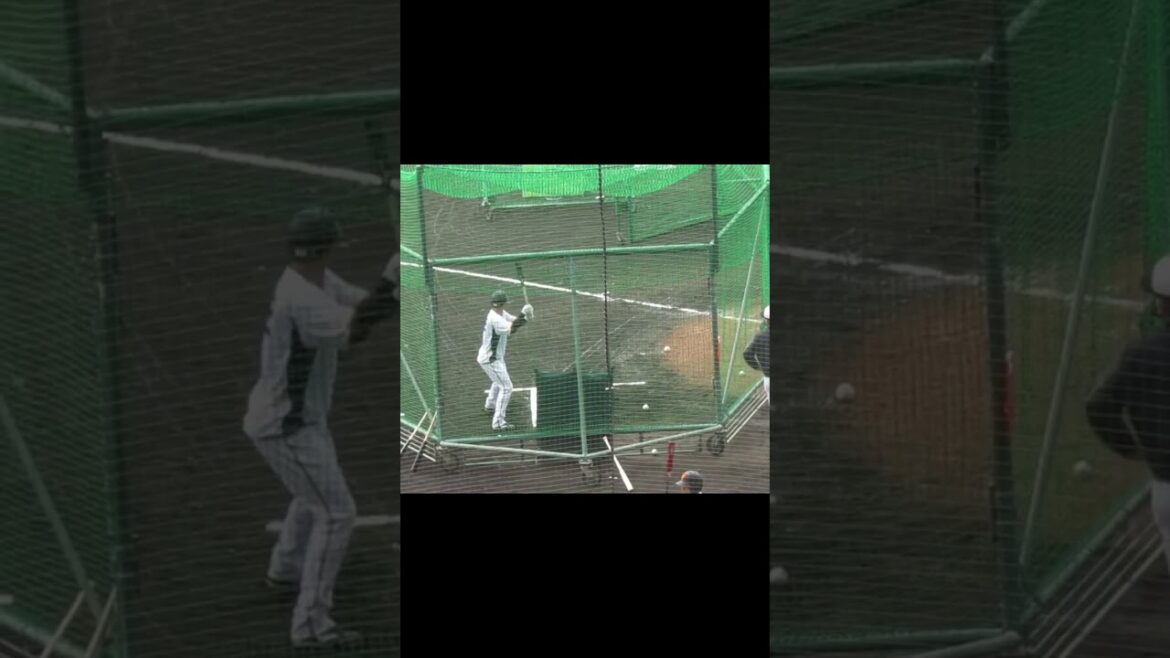 巨人キャンプ 北村拓己フリーバッティング ～沖縄キャンプ2022/2/16