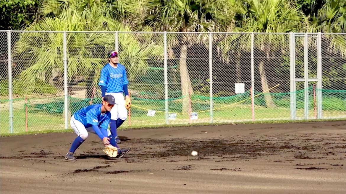 個別ノックを受ける知野直人と林琢真 by 田中浩康コーチ！ 横浜DeNAベイスターズ 2024/2/6