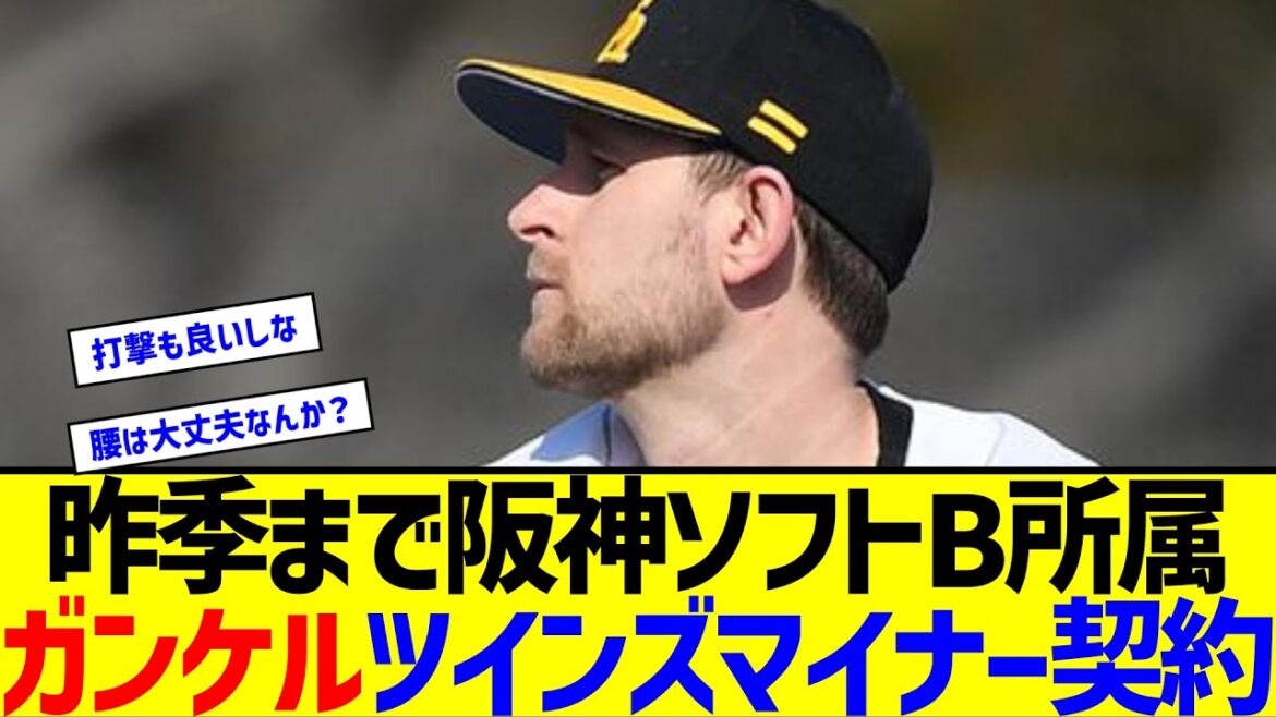 昨季まで阪神、ソフトB所属のガンケルがツインズとマイナー契約【なんJ なんG反応】