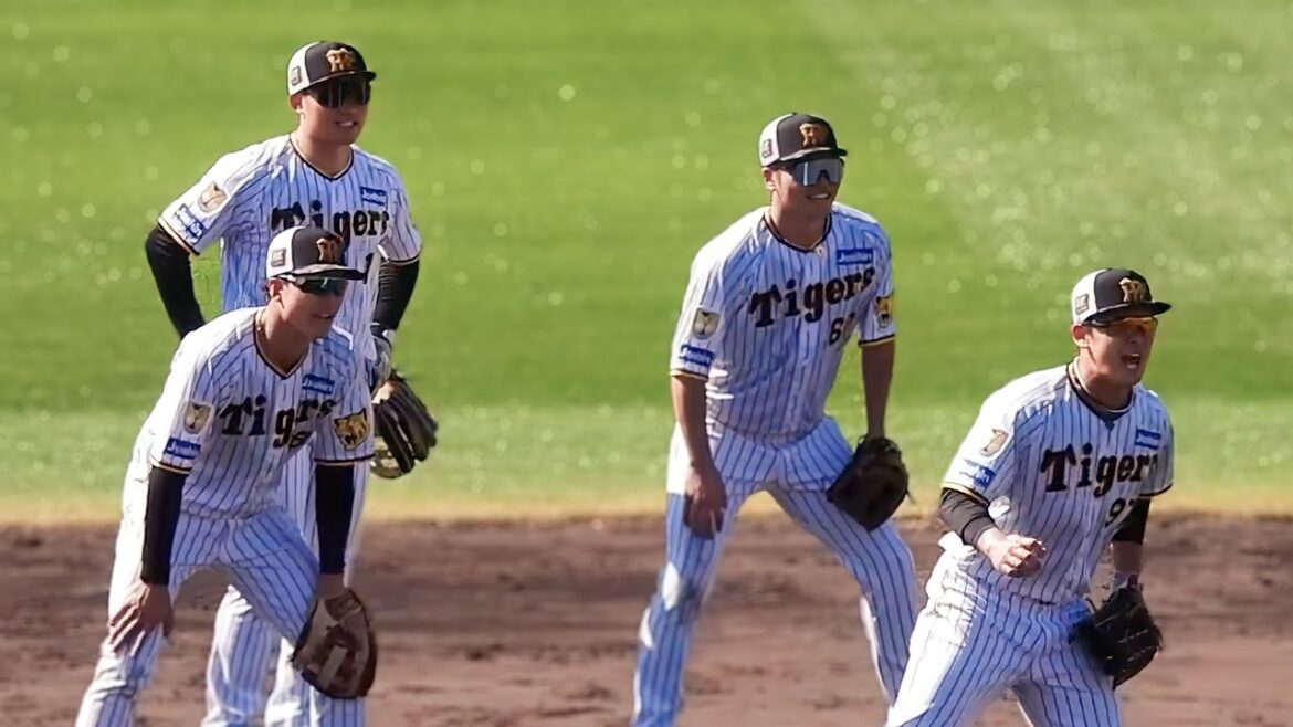 【元気良すぎ！】華麗なグラブトスで森下ガッツポーズ！大きな声を出して内野ノックを受ける森下・野口・小幡・小野寺【阪神春季キャンプ】2024.2.1