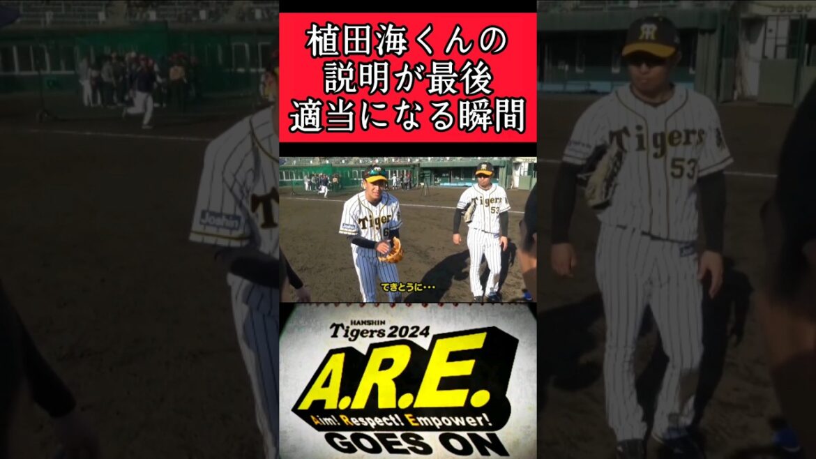 【阪神】植田海くんの説明がおもしろい！ #阪神 #阪神タイガース #植田海 #shorts