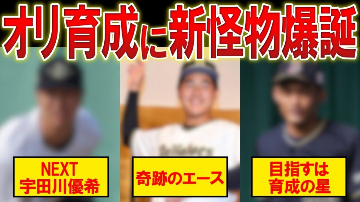 【オリックス】「あと一歩のところまで来ている…」2024年の支配下登録が期待されるバファローズの選手たち。ウインターリーグで無双したアノ選手達も支配下筆頭候補に!?【プロ野球/NPB】 【オリックス】「あと一歩のところまで来ている...」2024年の支配下登録が期待されるバファローズの選手たち。ウインターリーグで無双したアノ選手達も支配下筆頭候補に!?【プロ野球/NPB】