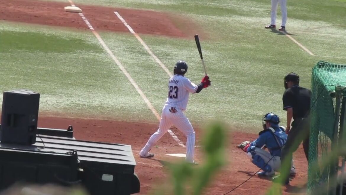 【スワローズ】赤羽由紘のバッティングフォーム 2022年5月4日 ヤクルト戸田球場