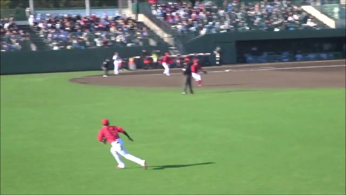 小林樹斗 vs 小園海斗　～侍ジャパン宮崎秋季キャンプ2023 練習試合（vs 広島東洋カープ）～