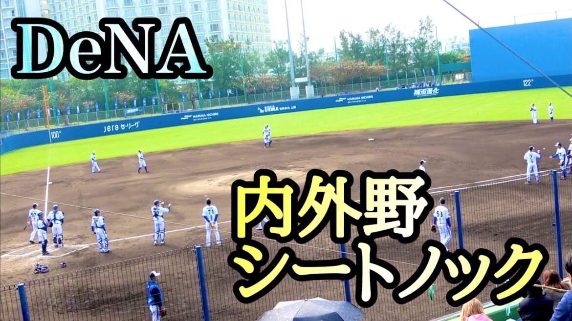 柴田別格！ ルーキー 度会くん、石上くん、井上くんが入ったシートノック！ 横浜DeNAベイスターズ 2024/2/7 桑原 度会 佐野 勝又 梶原 蝦名 関根 林 牧 …
