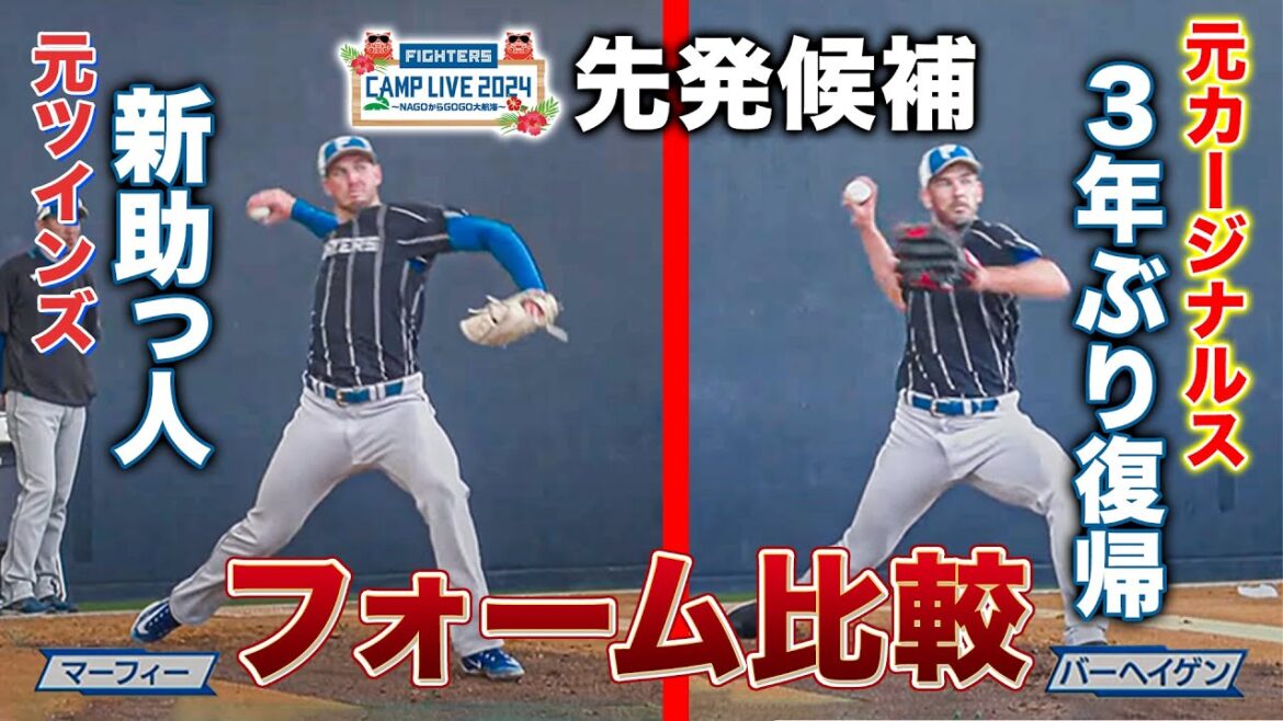 【新助っ人比較】バーヘイゲン＆マーフィー投球フォーム比較＜2/6ファイターズ春季キャンプ2024＞