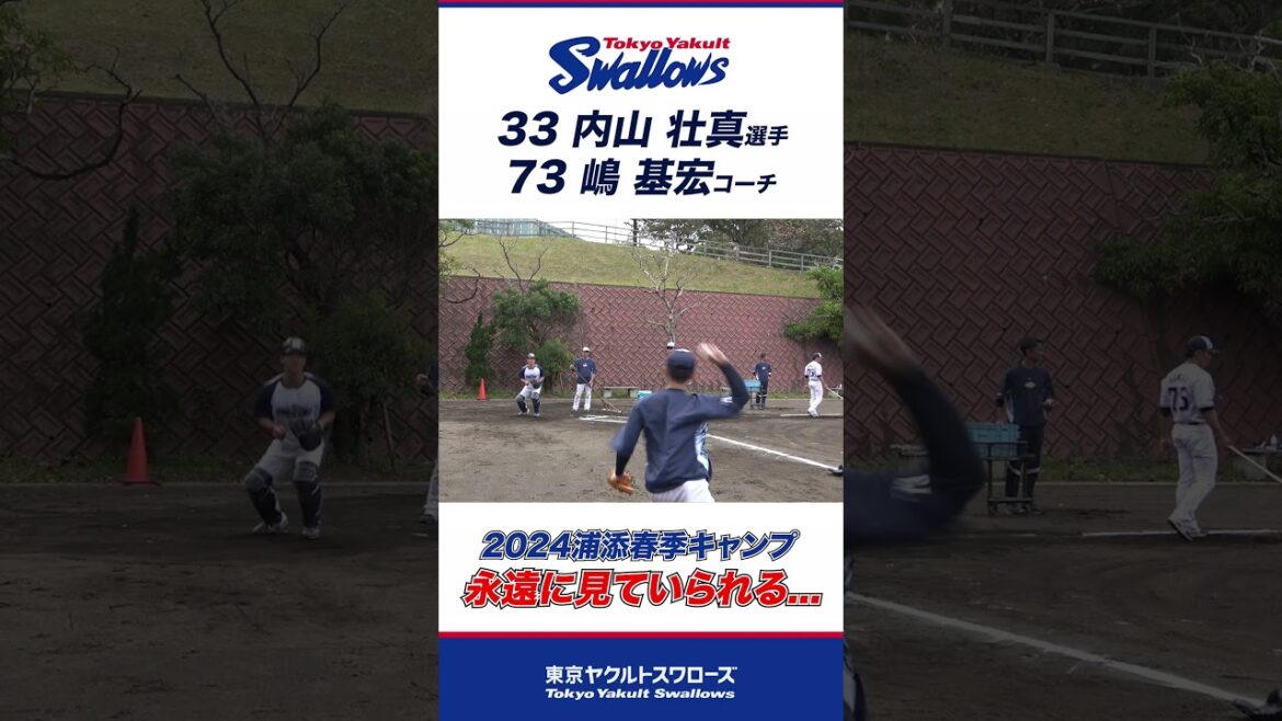 永遠に見ていられる...  #swallows #プロ野球 #東京ヤクルトスワローズ #shorts #内山壮真 #嶋基宏