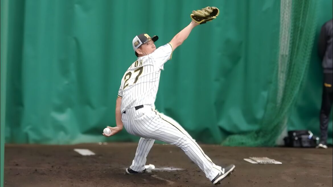 【精密機械】伊藤将司、ブルペン投球で切れ味鋭いボール連発！ノビのあるストレートに虎ファンも思わずどよめく【阪神春季キャンプ】2024.2.8