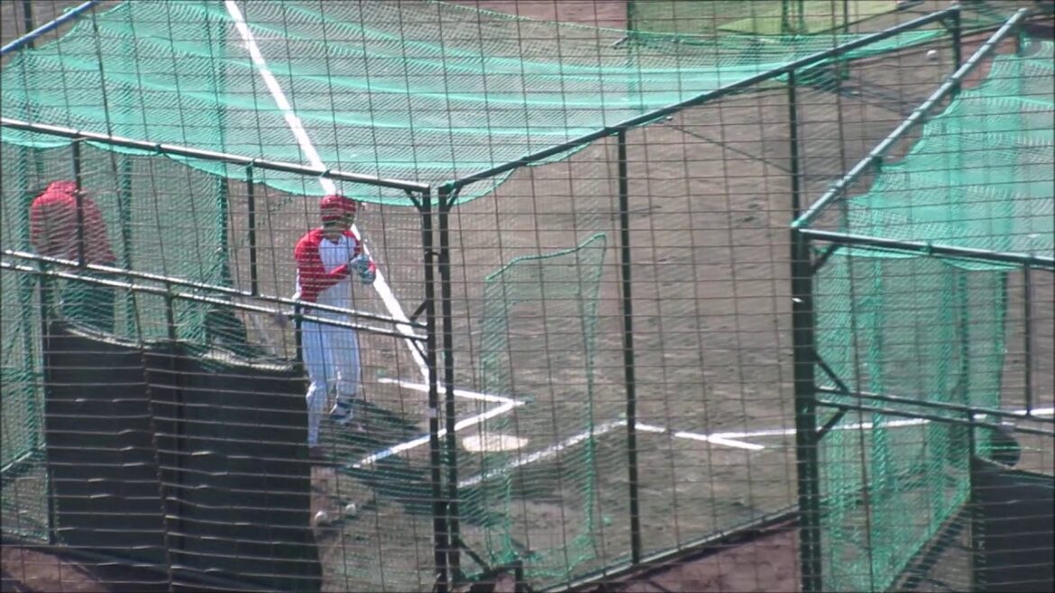 【フリーバッティング・ピッチングマシーン直球】三好匠 → 坂倉将吾 → 石原貴規 → 中村奨成選手