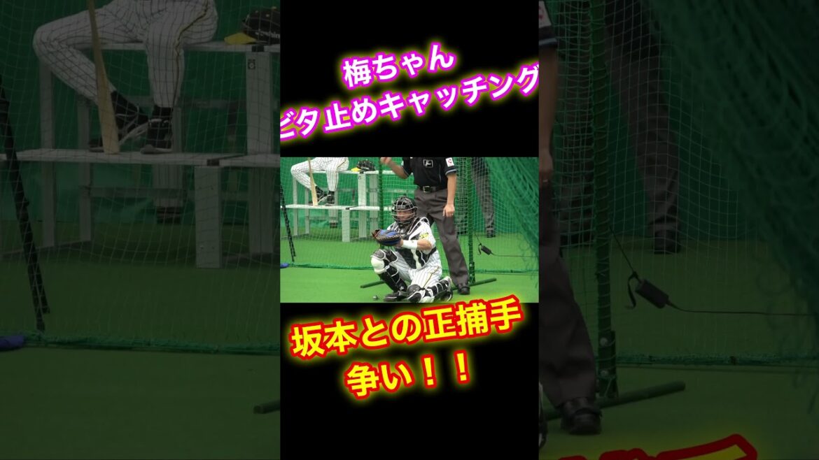 宜野座に響きわたるキャッチング音！