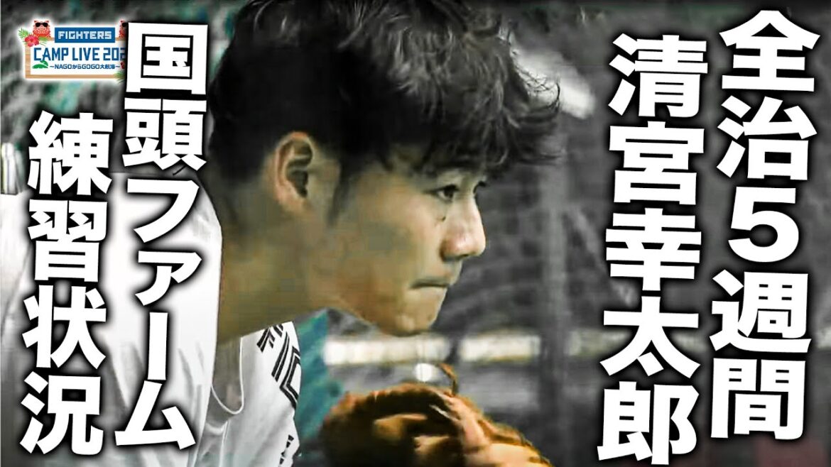 【速報】全治5週間の清宮幸太郎 現在の国頭ファームでの練習映像＜2/8ファイターズ春季キャンプ2024＞