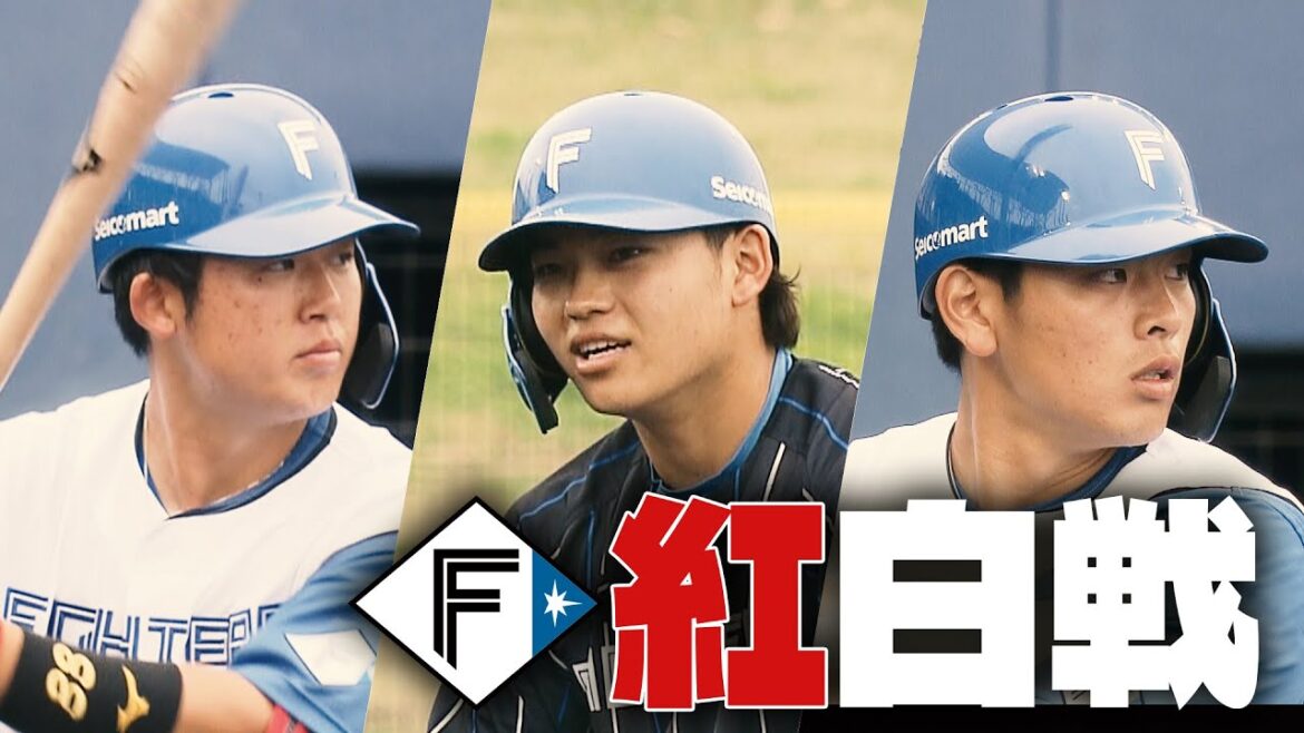 【ファイターズ】野村佑希選手「サードが空いてないと見せつける」 イメージ通りの実戦初ホームラン 若手キャッチャー陣もアピール続々