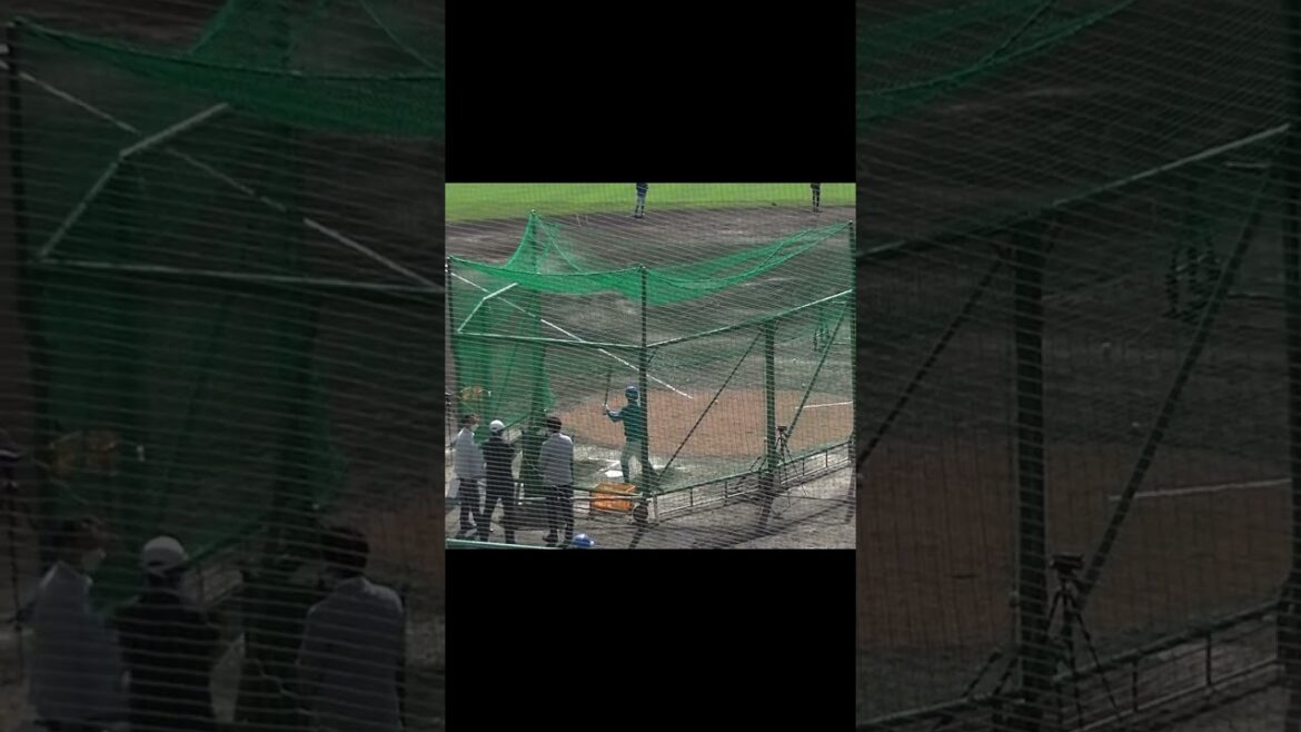 細川凌平のバッティングフォーム～練習中 〜2022/2/15巨人日ハム戦