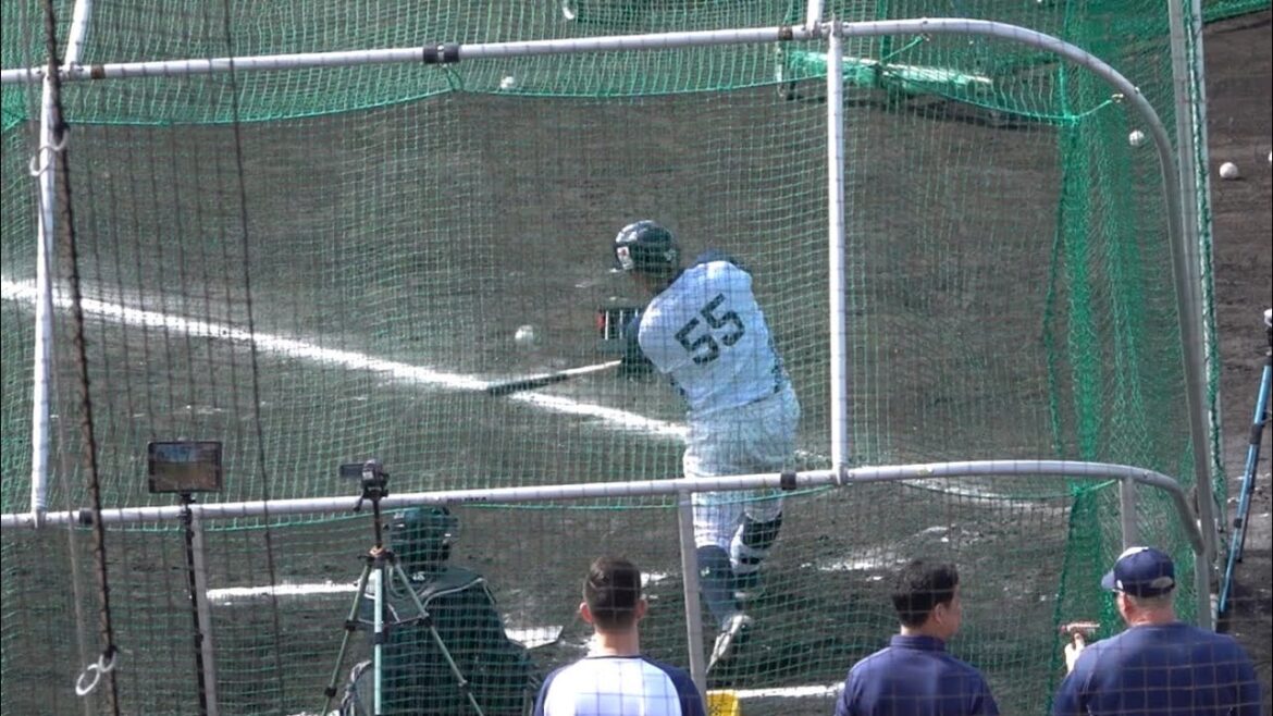 村上宗隆のバッティング練習！本日もホームラン量産中！東京ヤクルトスワローズ 浦添キャンプ 2024/02/03