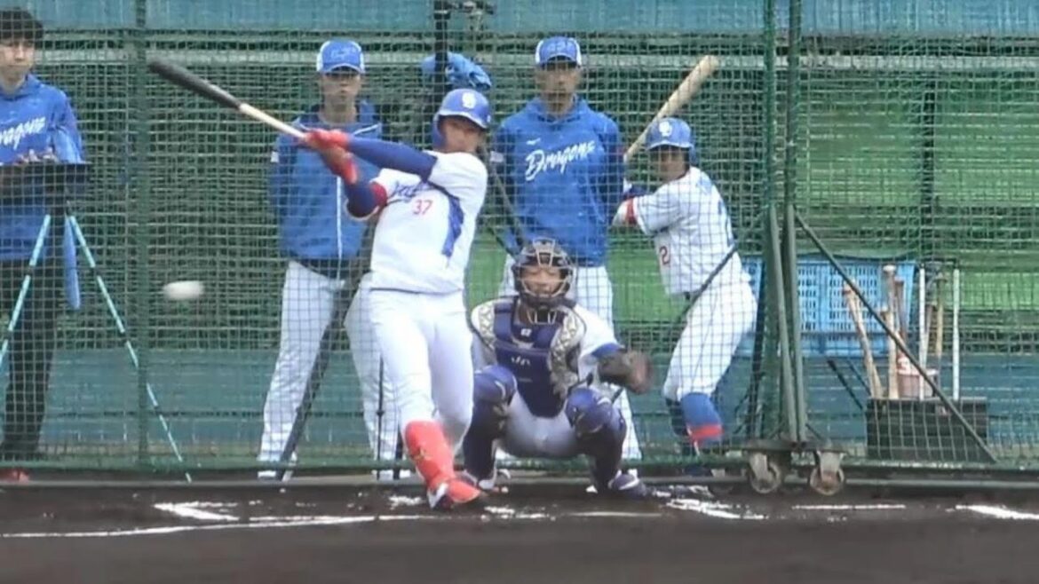 2年目の濱がシート打撃でマルチ！投手:福谷＆垣越（2024年2月7日）