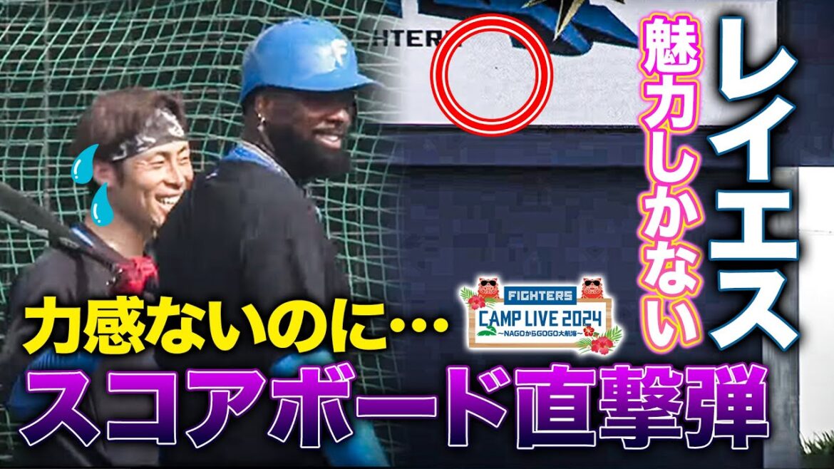 レイエス＆万波中正 打撃練習で豪快弾道とバッティングフォームをべた褒め＜2/7ファイターズ春季キャンプ2024＞
