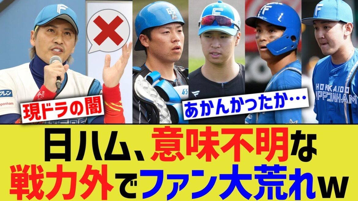 日ハム、冷酷かつ意味不明な戦力外でファン大荒れwwww【なんJ なんG野球反応】【2ch 5ch】 日ハム、冷酷かつ意味不明な戦力外でファン大荒れwwww【なんJ なんG野球反応】【2ch 5ch】