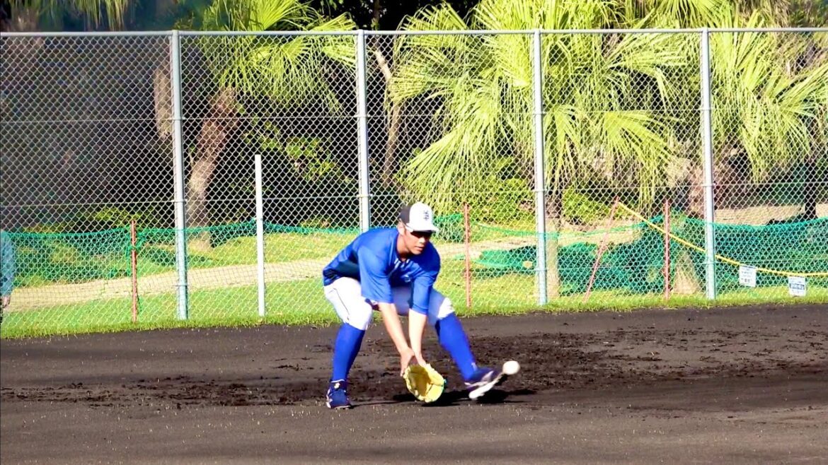 【特守】紅白戦の後、髙城俊人にノックを打ってもらう京田陽太 横浜DeNAベイスターズ 2024/2/10